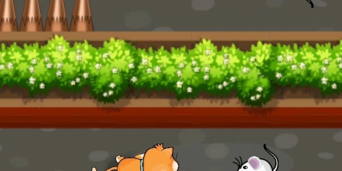 Escape the Cat Trap Labyrinth with Skill image