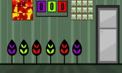 G2M Green House Escape