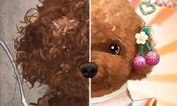 Pet Makeup Master