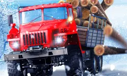 Truck Driver Snowy Roads