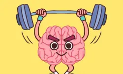 Perfect Brain 3D Puzzle