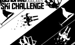 Black white ski challenge