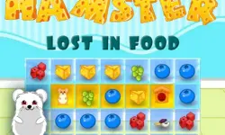 Hamster Lost In Food