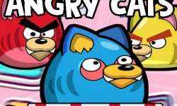 Angry Cats