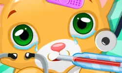 Kitty Doctor background