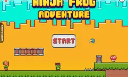 Ninja Frog Adventure