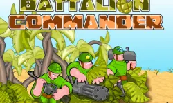 Battalion Commander
