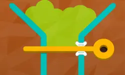 Colored Water and Pin