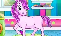 Pet Salon background