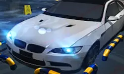 Luxury Car Parking Prado