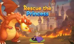 Rescue The Princess image