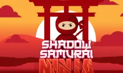 Shadow Samurai Ninja