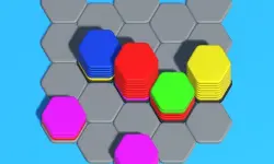 Hexa Sort 3D Puzzle