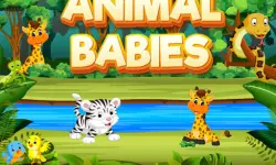 Animal Babies