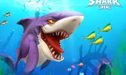Hungry Shark Arena