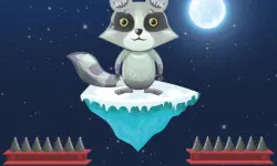 Jumping Raccoon