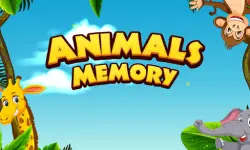Super Animal Memory