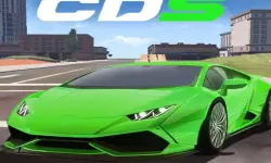 Racing Car Dual Control