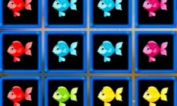 1010 Fish Blocks