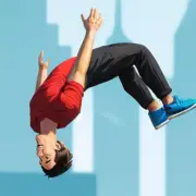 Flip Master 3d image