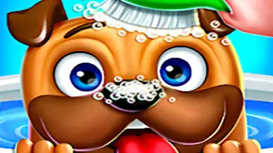 Pet image